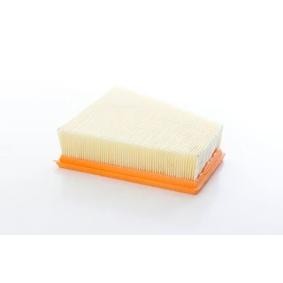 Køb Luftfilter af BSG BSG 90-135-043 til den lave pris 285,94 DKK