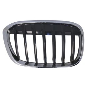 Kühlergrill 6502-07-0082994P
