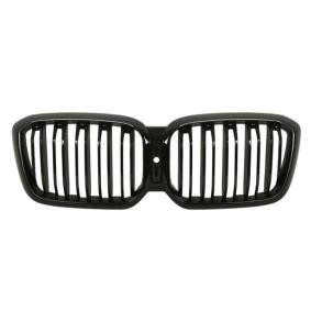Kühlergrill 6502-07-0097990P