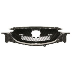 Kühlergrill 6502-07-3496993P