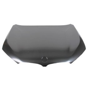 Motorhaube 6803-00-0082280P