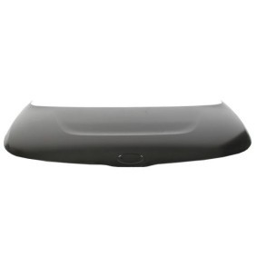 Motorhaube 6803-00-3283281Q