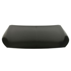 Motorhaube 6803-00-5028280AP