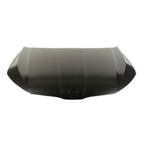 Motorhaube 6803-00-7523280P