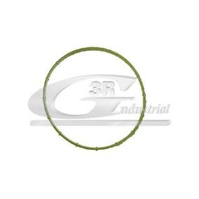 Dichtung, Unterdruckpumpe 74101