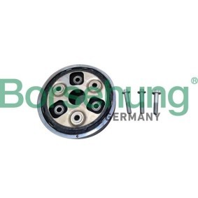 Hardyscheibe von Borsehung