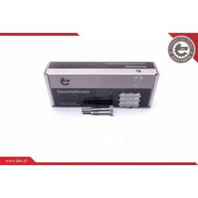 Compre Tensor de cadena de distribución de ESEN SKV online para Z4 Roadster (E89) a precios moderados