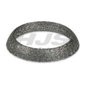 Dichtring, Abgasrohr von HJS