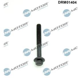 Achetez des Écran absorbant la chaleur (injection) de chez DR.MOTOR AUTOMOTIVE en ligne pour Logan II Break (K8) à prix modérés