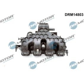 Ansaugbrücke DRM14803