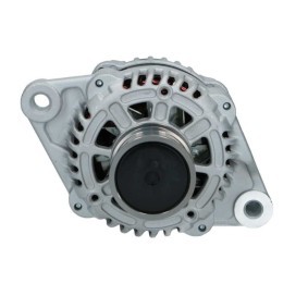 Lichtmaschine von BV PSH