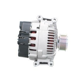 Lichtmaschine von BV PSH
