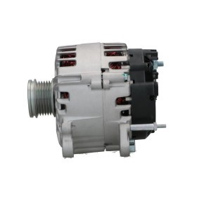 Lichtmaschine von BV PSH