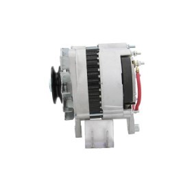 Lichtmaschine von BV PSH