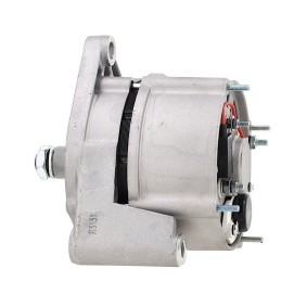 Lichtmaschine von BV PSH