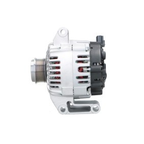 Lichtmaschine von BV PSH