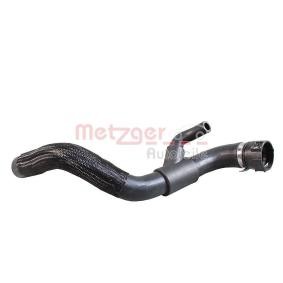 Kühlerschlauch 2421601