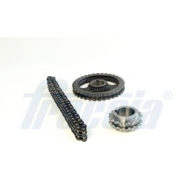 Steuerkettensatz TK08-1182 von FRECCIA günstig für 66,90 € online kaufen