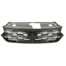 Kühlergrill 6502-07-1307991P