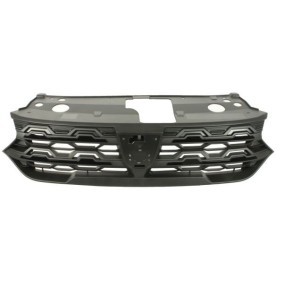 Kühlergrill 6502-07-1307992P