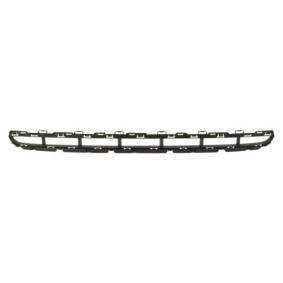 Acquista Griglia paraurti da BLIC 6502-07-5724919P a buon mercato per soli 147,63 €