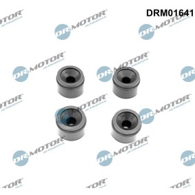 Anschlagpuffer, Motorabdeckung DRM01641