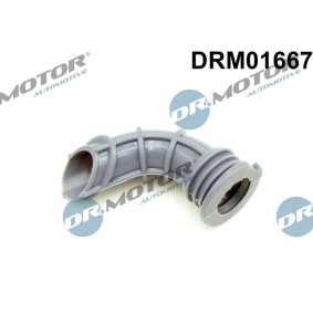 Dichtung, Leerlaufregelventil-Luftversorgung DRM01667