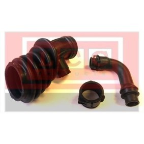 Ansaugschlauch, Luftfilter LCC6244 für FORD