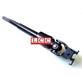 Lenkspindel LCCF02565