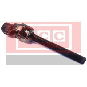 Lenkspindel LCCF02575