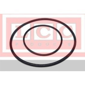 Dichtung, Thermostat TR1400