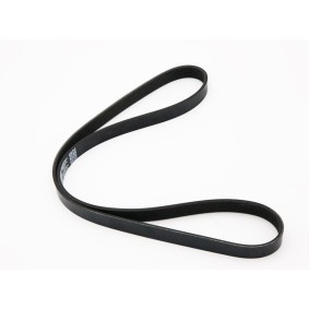 Compre Correia trapezoidal estriada da IVECO 5802102048 a um preço baixo por 65,63 €