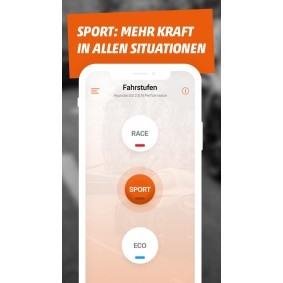 Achetez des Calculateur moteur de chez RaceChip en ligne pour Yaris 3/5 portes (_P1_) à prix modérés