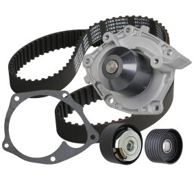 Achetez des Kit de distribution + pompe à eau RIDEX 3096W0513 à prix pour 83,38 €