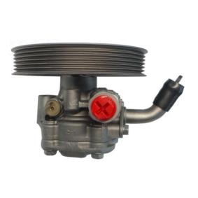 Achetez des Pompe de direction assistée de chez SPIDAN en ligne pour L 200 / Triton Pick-up (KA_T, KB_T) à prix modérés