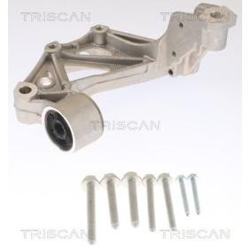 Acquista Supporto cuscinetto, Corpo assiale da TRISCAN 8500 295261 a buon mercato per soli 84,77 €