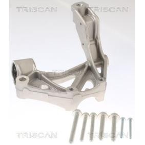 Acquista Supporto cuscinetto, Corpo assiale da TRISCAN 8500 295262 a buon mercato per soli 84,77 €