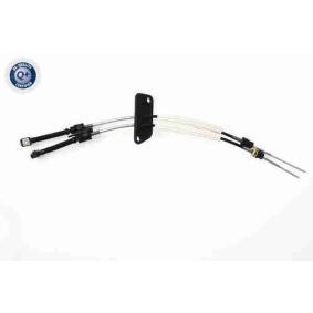 Seilzug, Schaltgetriebe V10-8065 von VAICO günstig für 144,59 € online kaufen