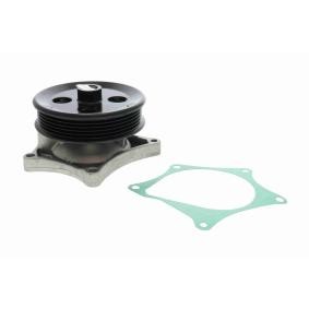Achetez des Pompe à eau de chez VAICO en ligne pour INSIGNIA Mk II (B) Break à prix modérés