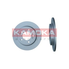 Bremsscheibe 103671