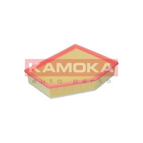 Luftfilter F255601