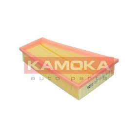 Luftfilter F255901