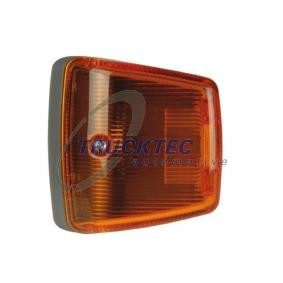Køb Blinklys af TRUCKTEC AUTOMOTIVE 01.58.071 til den lave pris 109,75 DKK