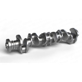 Kurbelwelle CK005202
