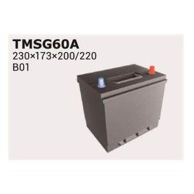 Compre Bateria de arranque da IPSA TMSG65A a um preço baixo por 125,37 €