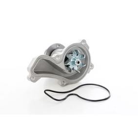 Osta Vesipumppu BSG:llä BSG 35-500-002 edullisesti hintaan 53,63 €