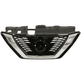 Kühlergrill 6502-07-1617995P