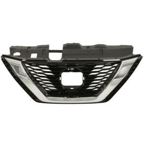 Kühlergrill 6502-07-1617996P