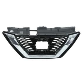 Kühlergrill 6502-07-1617997P