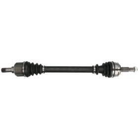 Compre Palier de PASCAL online para Jumpy III Furgoneta (V) a precios moderados